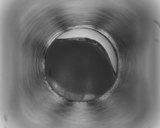 X0000099380809200805291127