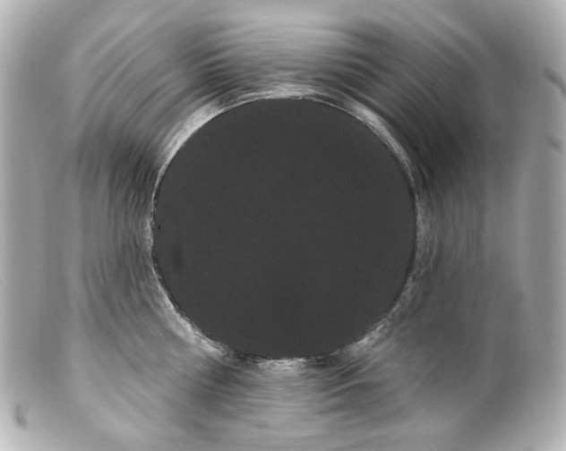 X0000099380810200805291127