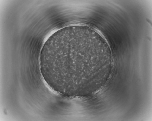 X0000099380811200805291127