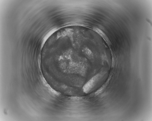 X0000099380812200805291127