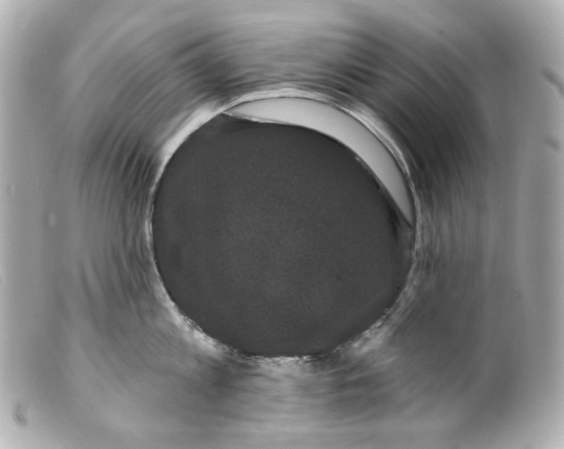 X0000099380813200805291127