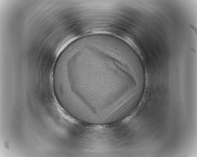 X0000099380814200805291127