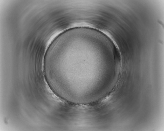 X0000099380815200805291127