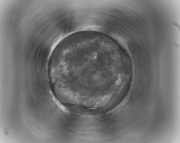 X0000099380816200805291127