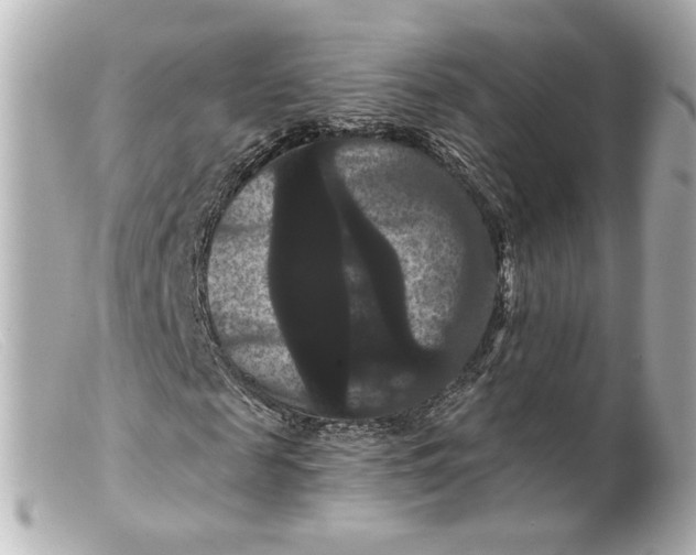 X0000099380817200805291126