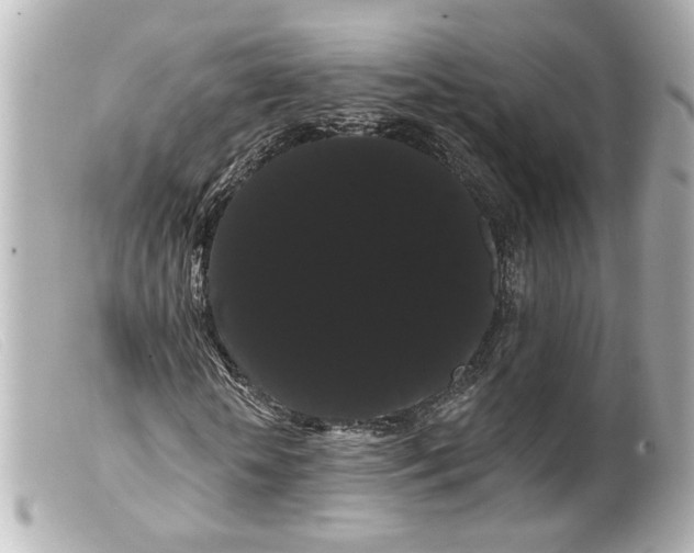 X0000099380818200805291126