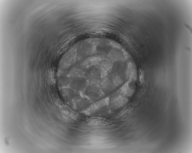 X0000099380819200805291126