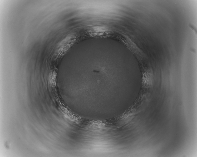 X0000099380820200805291126