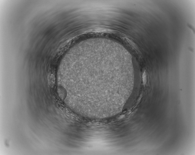 X0000099380821200805291126