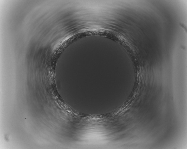 X0000099380822200805291126