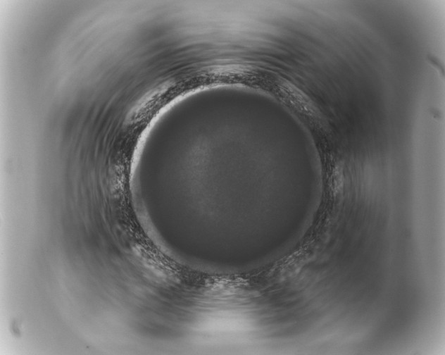 X0000099380824200805291126