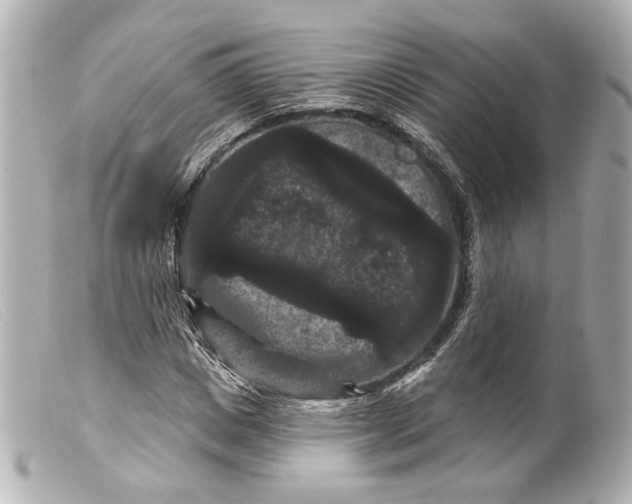 X0000099380825200805291126