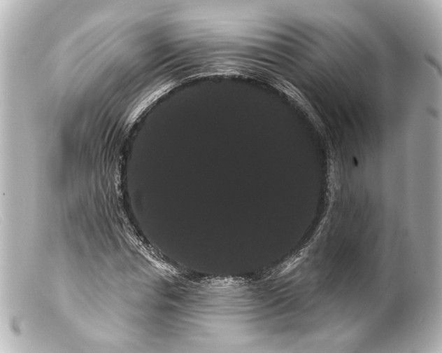 X0000099380826200805291126