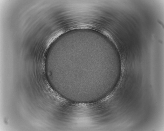 X0000099380827200805291126