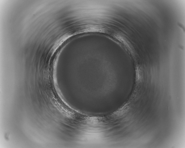 X0000099380828200805291126