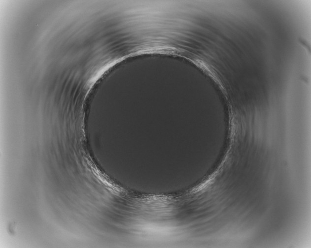 X0000099380830200805291126