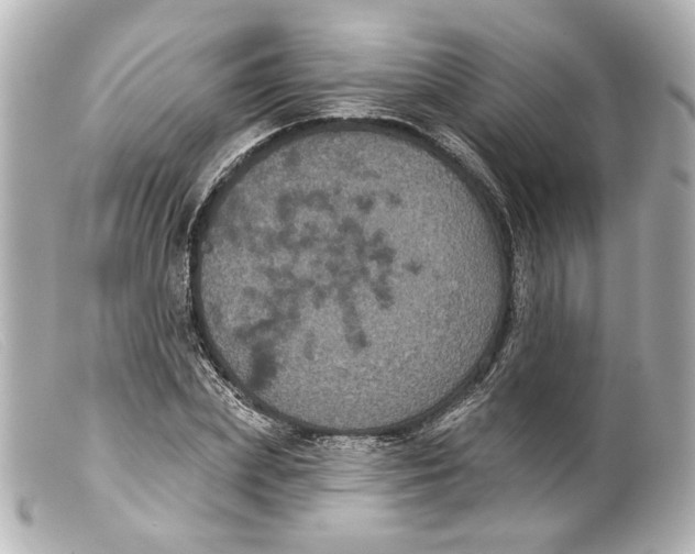 X0000099380831200805291126