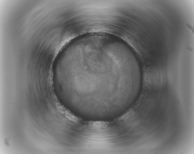 X0000099380832200805291126