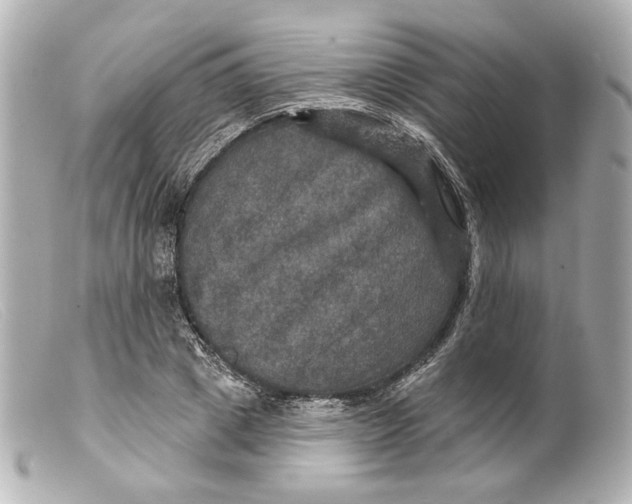 X0000099380833200805291126