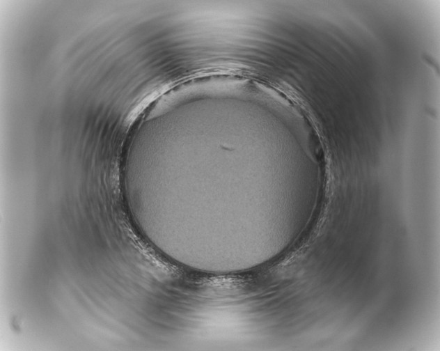 X0000099380834200805291126