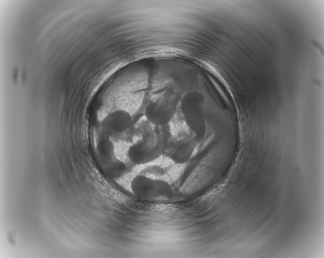 X0000099380835200805291126