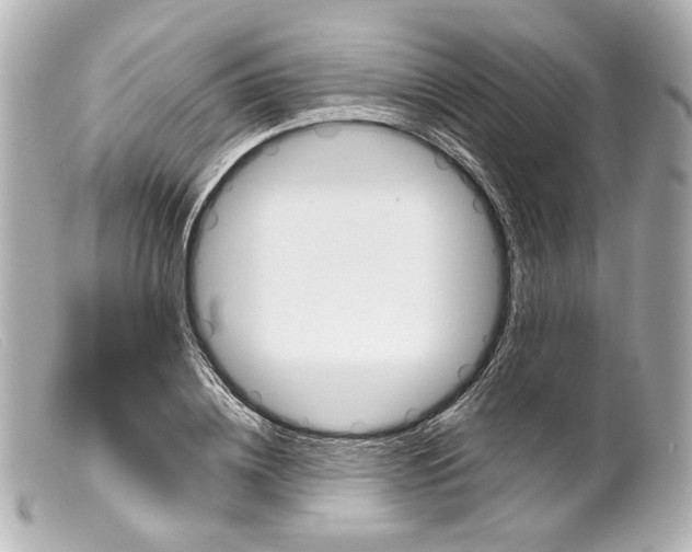 X0000099380836200805291126