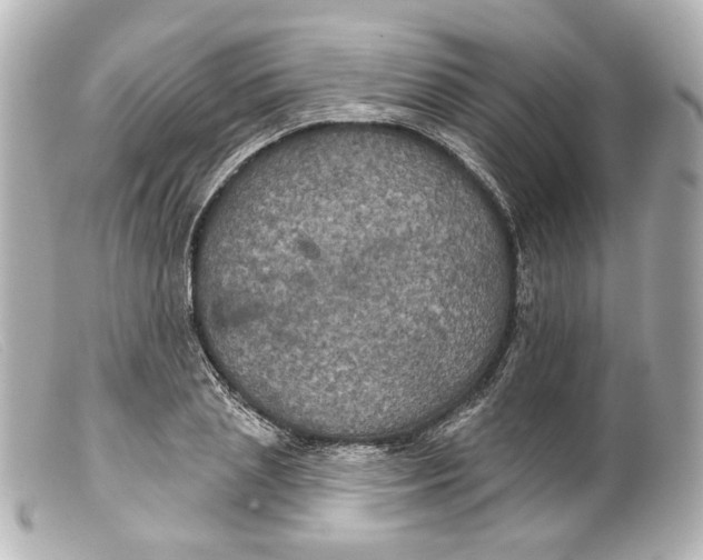 X0000099380837200805291126