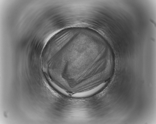 X0000099380838200805291127