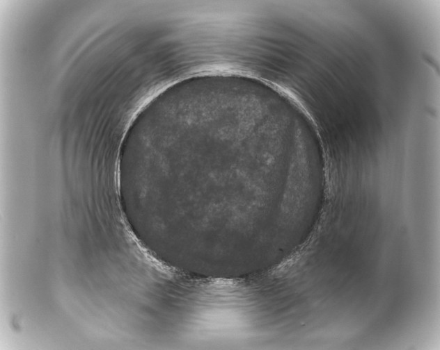 X0000099380839200805291127