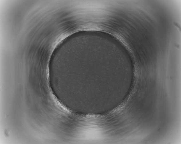 X0000099380840200805291127