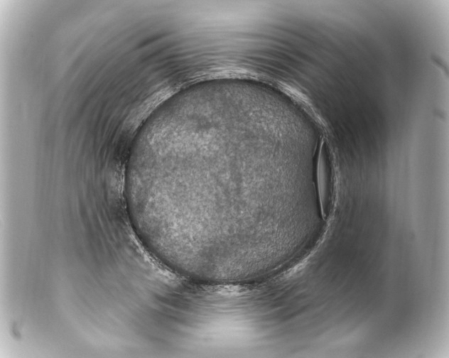 X0000099380841200805291127