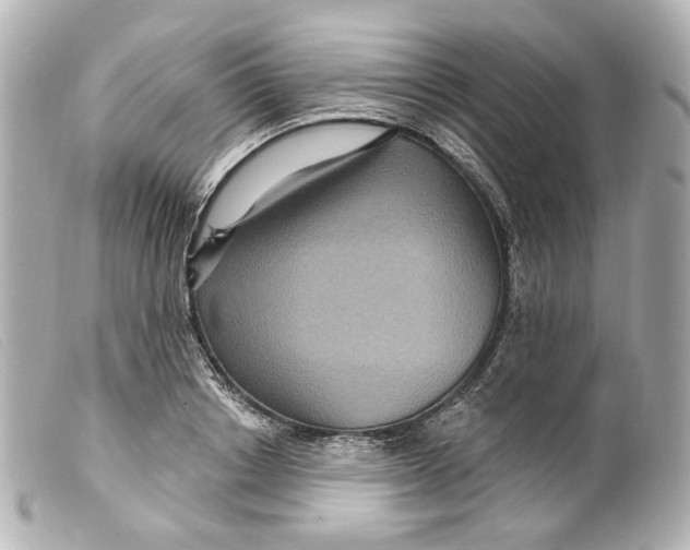 X0000099380842200805291127