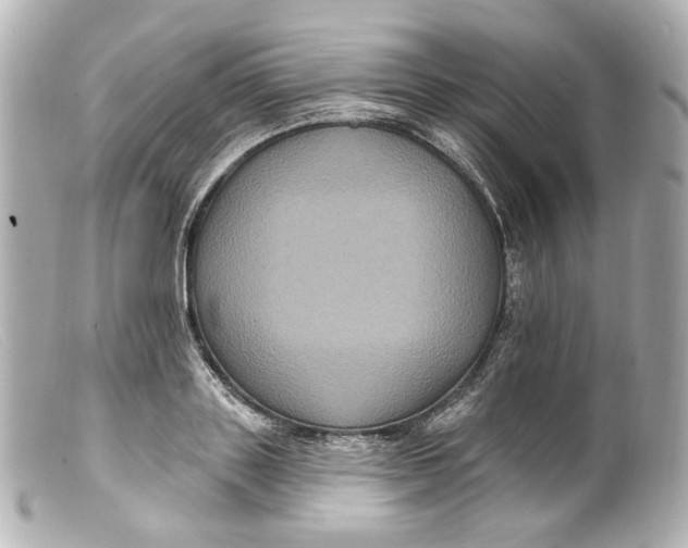 X0000099380843200805291127