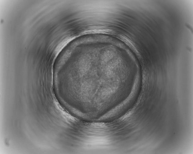 X0000099380844200805291127