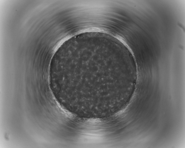 X0000099380845200805291127