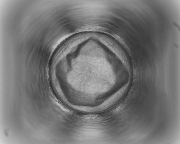 X0000099380846200805291127