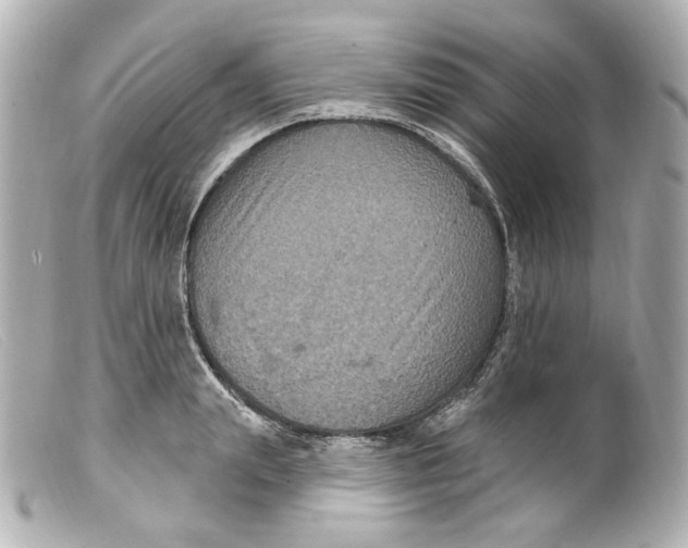 X0000099380847200805291127