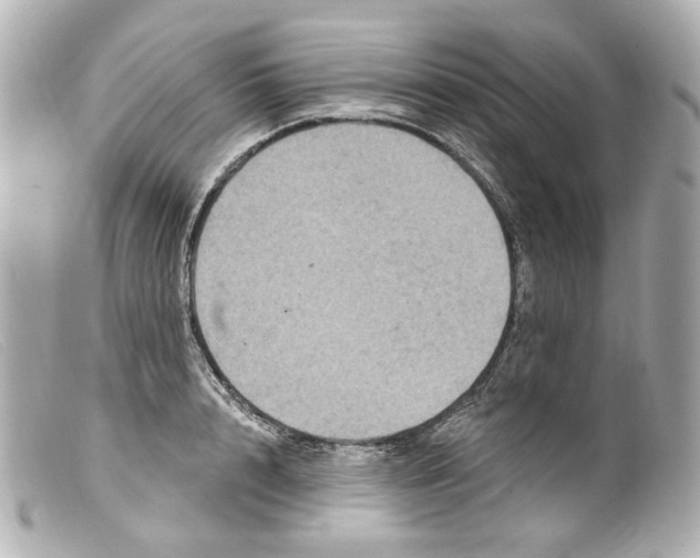 X0000099380848200805291127