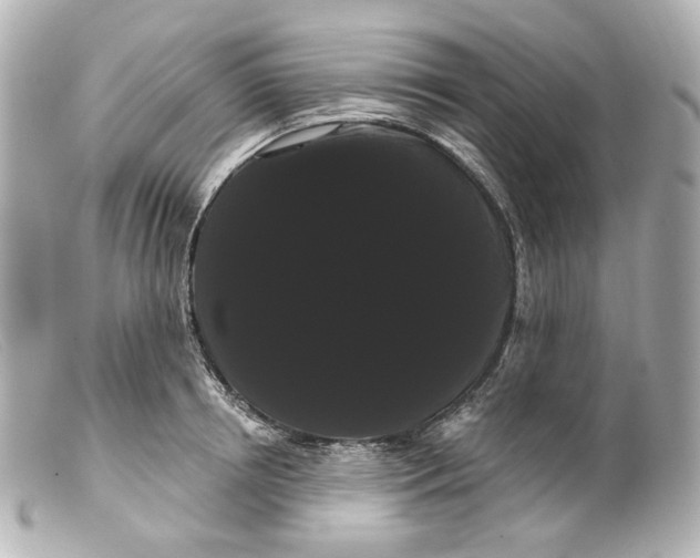 X0000099380850200805291127