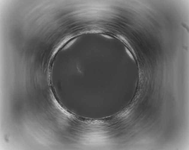 X0000099380851200805291127