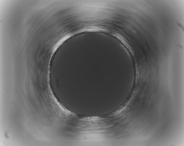 X0000099380853200805291127