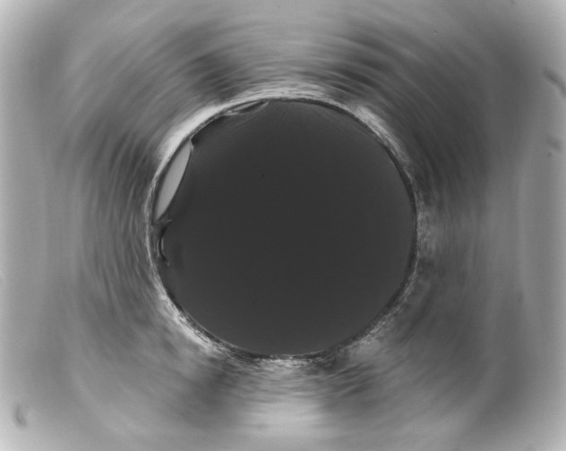 X0000099380854200805291127