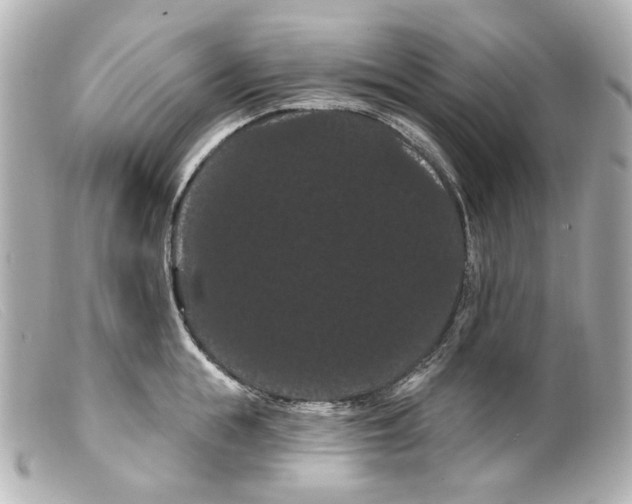 X0000099380855200805291127