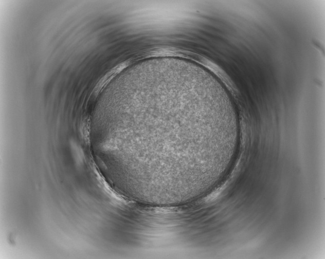 X0000099380857200805291127