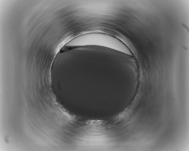 X0000099380858200805291127