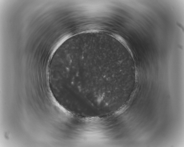 X0000099380859200805291127