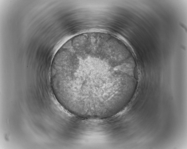 X0000099380860200805291127