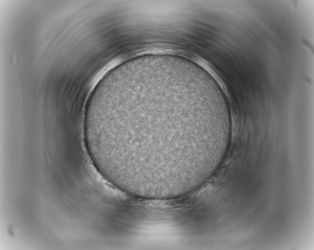 X0000099380861200805291127