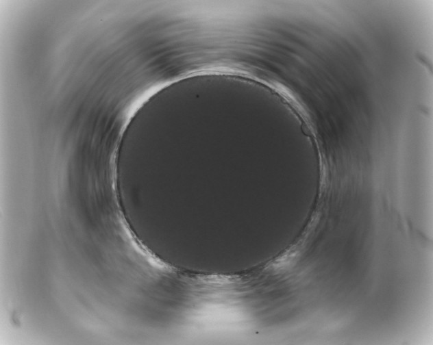 X0000099380862200805291127