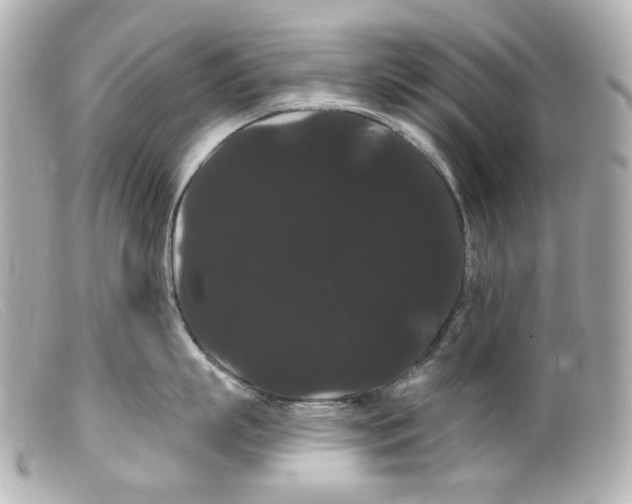 X0000099380863200805291127